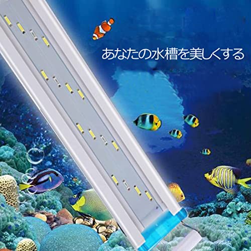 水槽ライト 4