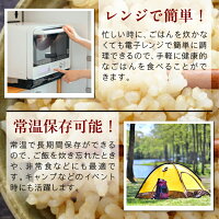 ミルキークイーン パックごはん 玄米  4