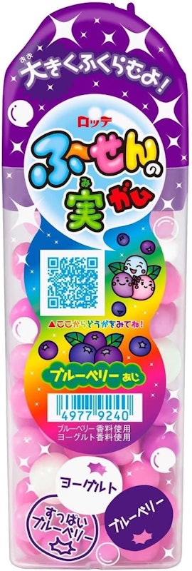 ふ~せんの実 ブルーベリー 1