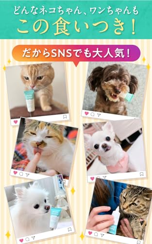 デンタアニマル 5