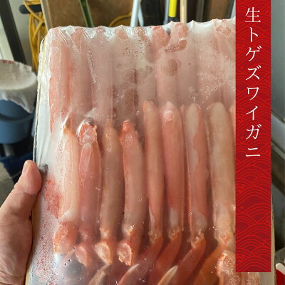生トゲズワイハーフポーション 1