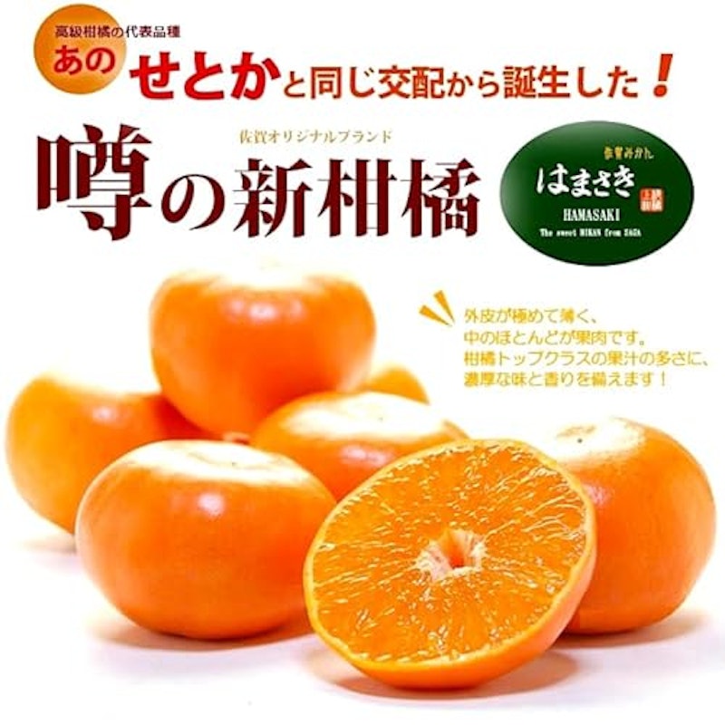 佐賀県産 はまさき 3