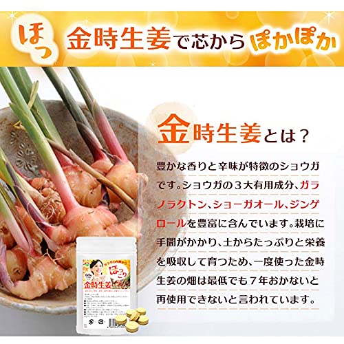 金時生姜サプリメント 4