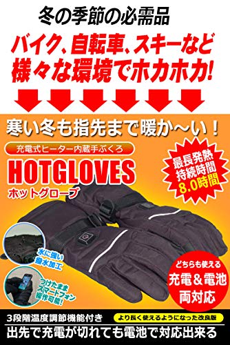 ホットグローブ 2