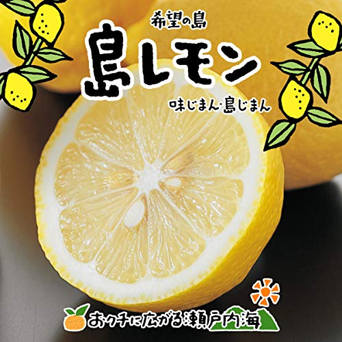 レモン 訳あり品 1