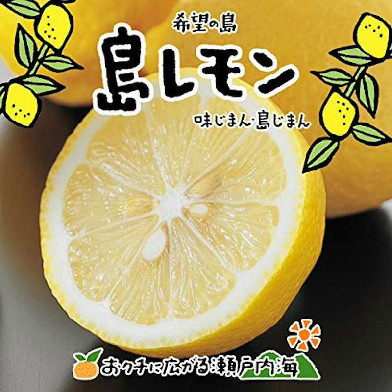 レモン 訳あり品 1