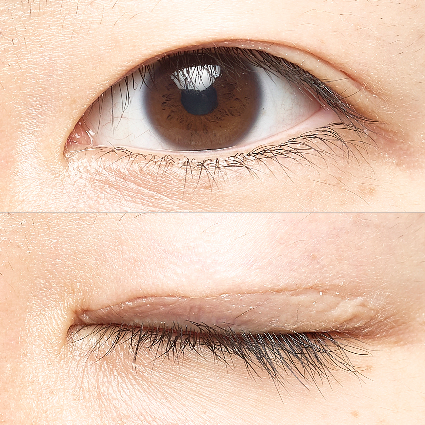 ローヤルアイムをレビュー！クチコミ・評判をもとに徹底検証 | マイベスト