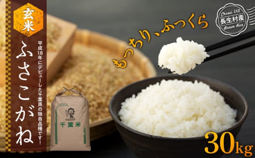 令和7年産ふさこがね 玄米 1
