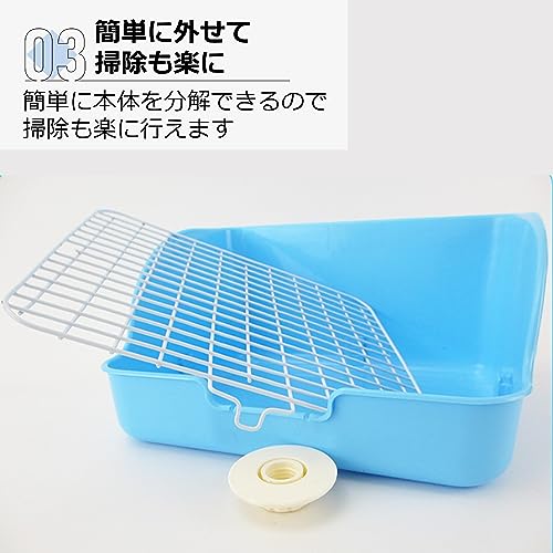 うさぎトイレ 5