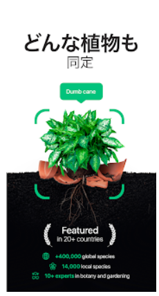 22年 植物図鑑アプリのおすすめ人気ランキング選 Mybest