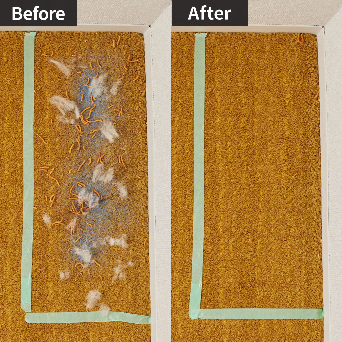 三菱電機 キャニスター型 紙パック式 掃除機 TC-FXF7P-T Be-K 三菱電機 Be-K 紙パック式掃除機 TC-FXF7P-Tを検証レビュー