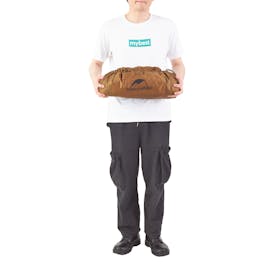 Naturehike 超軽量ワンタッチテントを検証レビュー!ワンタッチテントの選び方も紹介 4