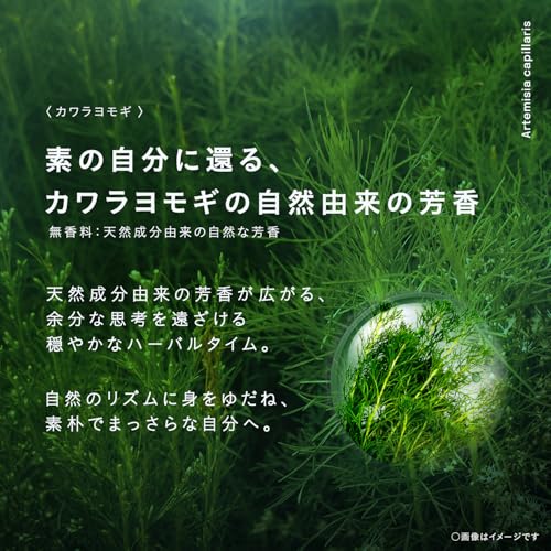 NUTANT 発酵成分 クレンジング・洗顔シート 3