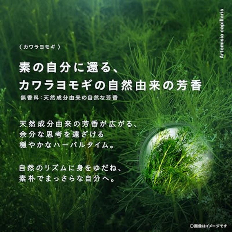 NUTANT 発酵成分 クレンジング・洗顔シート 3