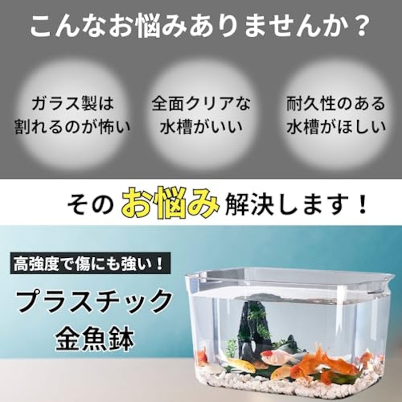 金魚鉢 3