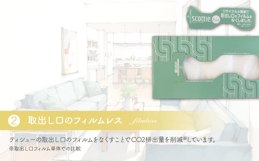 スコッティ ティシュー ファン 5