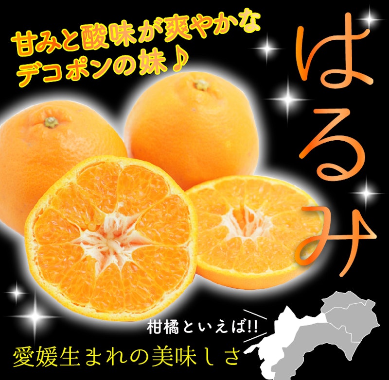 はるみ 訳あり 1