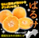 公 はるみ 訳あり 1