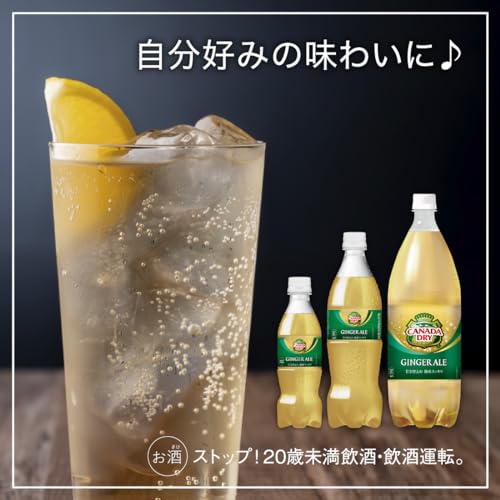 ジンジャーエール 5