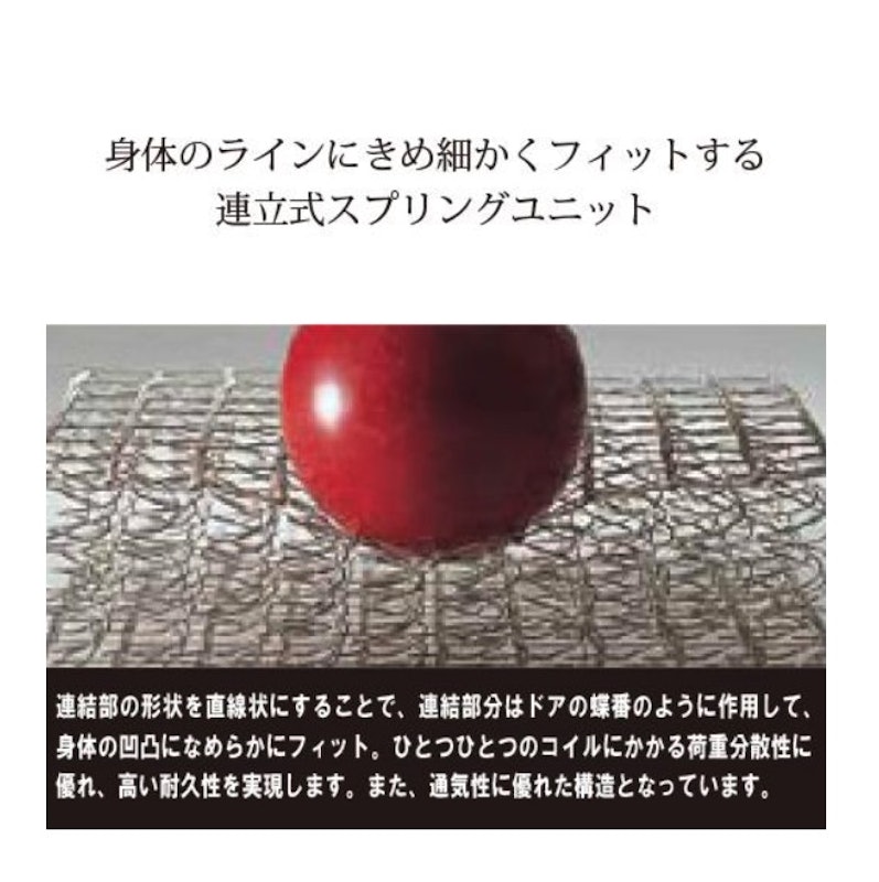 プリメーラN 3