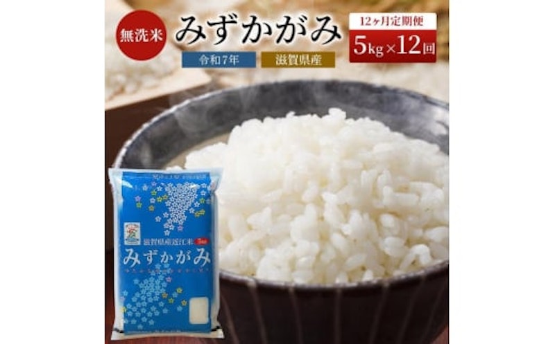 みずかがみ BG無洗米 定期便 1