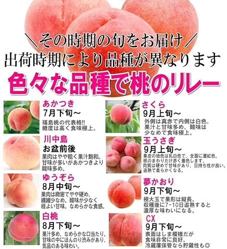 福島県産 伊達の桃 5