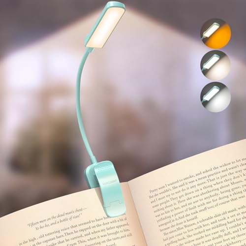 読書灯 1