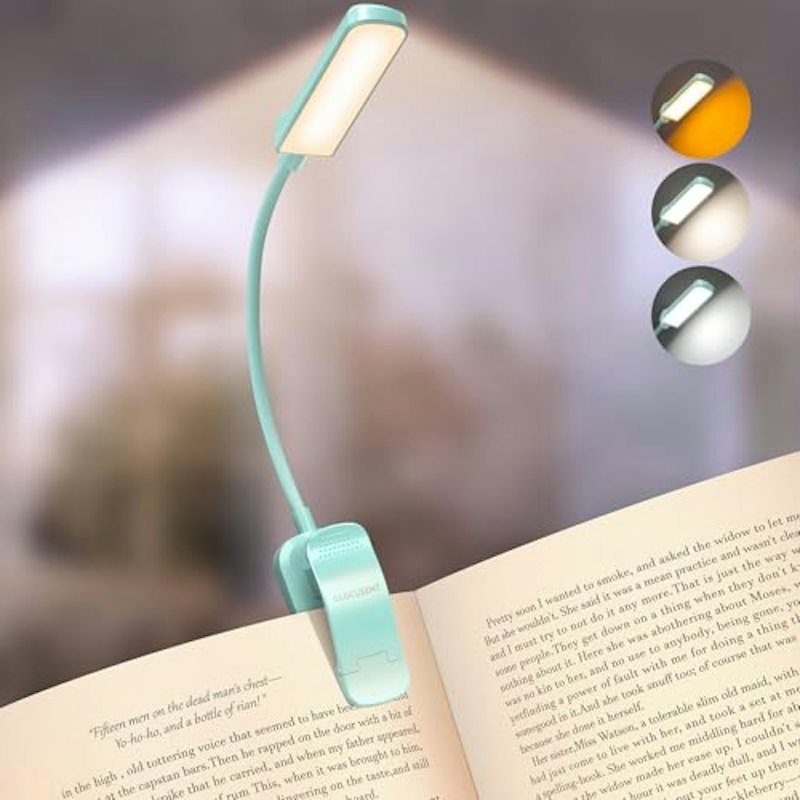 読書灯 1