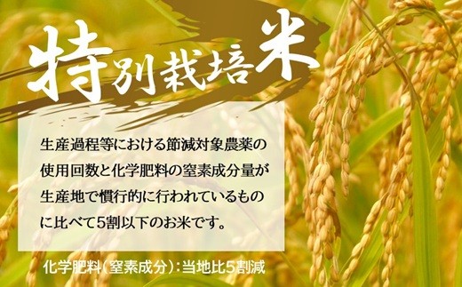 ミルキークイーン 特別栽培米 10㎏ 2