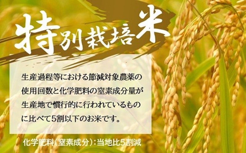 ミルキークイーン 特別栽培米 10㎏ 2