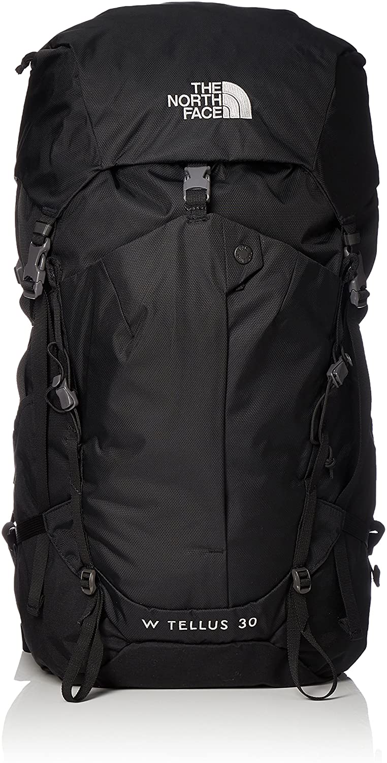 THE NORTH FACE テルス30 レディース 1