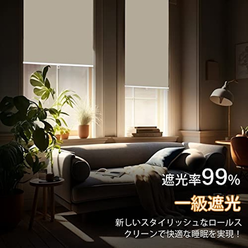 ロールスクリーン 5