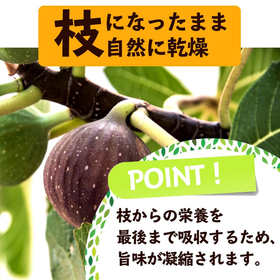 割れいちじく 8