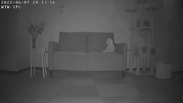みてるちゃん猫23 3