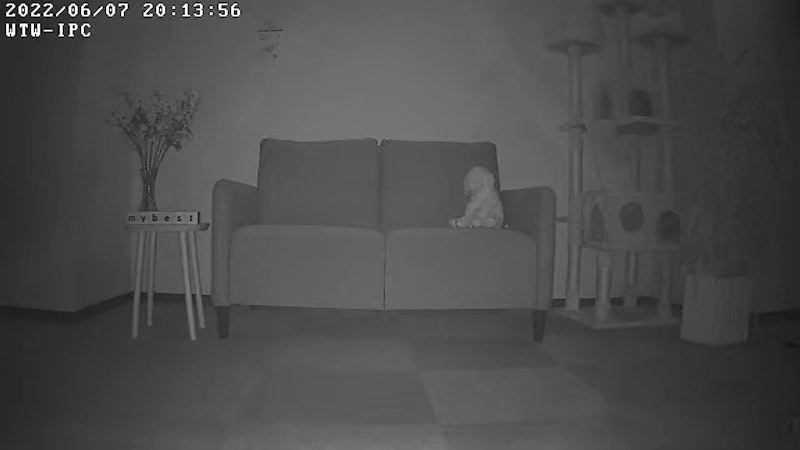 みてるちゃん猫23 3