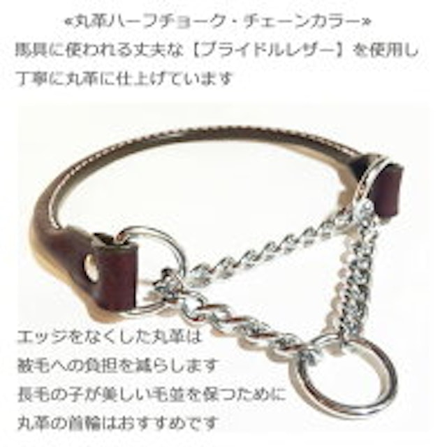 犬用ハーフチョークのおすすめ人気ランキング10選 Mybest 犬用ハーフチョークのおすすめ人気ランキング10選 Mybest