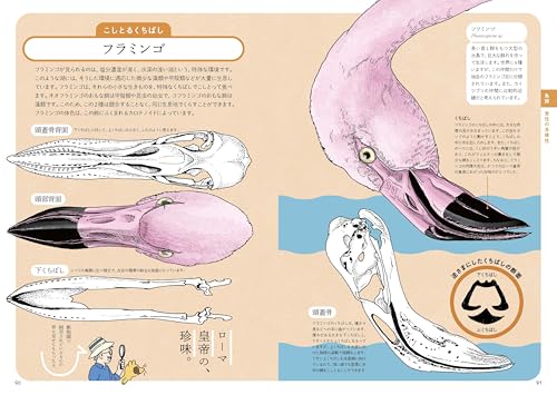 ぜんぶ絵でわかる9 すごい骨の動物図鑑 6