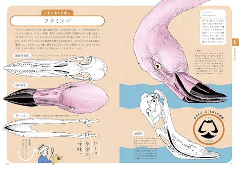 ぜんぶ絵でわかる9 すごい骨の動物図鑑 6