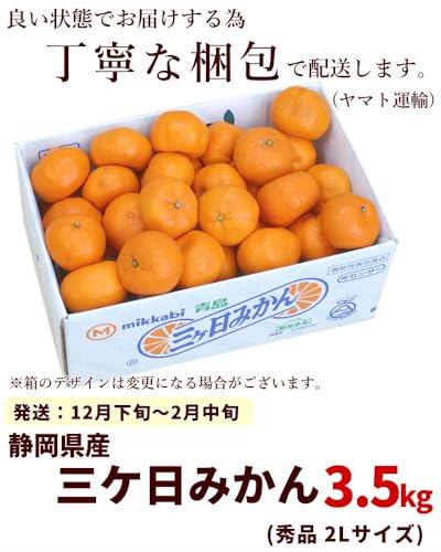 静岡県産 三ヶ日みかん 3