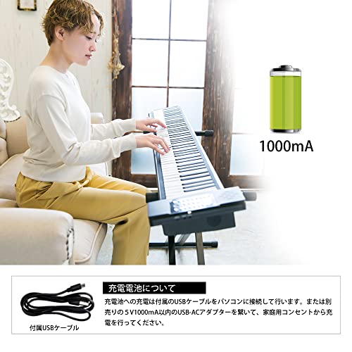 ロールピアノ 88鍵盤 5