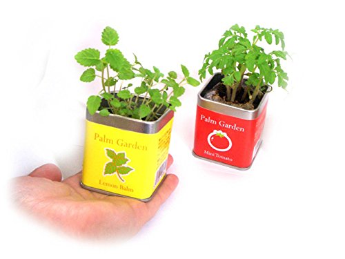 21年 ハーブ初心者向け栽培キットのおすすめ人気ランキング10選 Mybest
