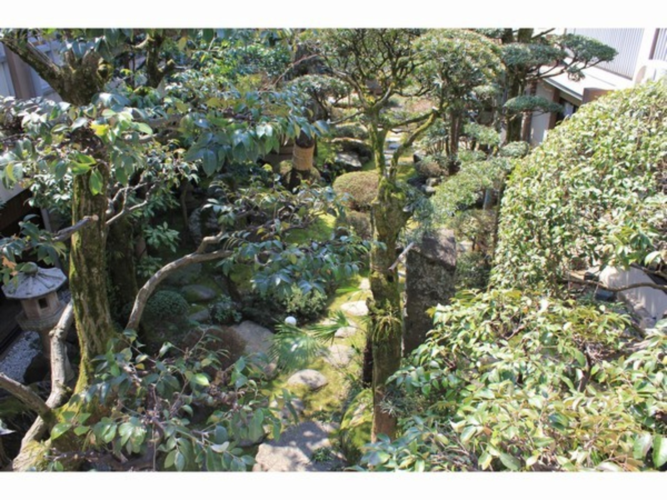 温泉旅館 丸茂 7