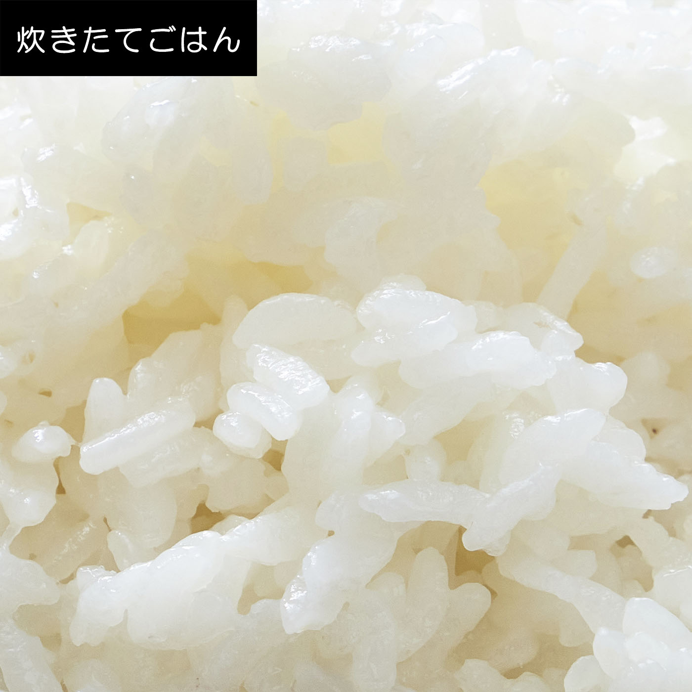 圧力IH炊飯ジャー 9