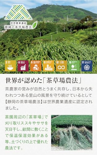 深蒸し煎茶ティーバッグ 茶摘み唄 6