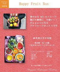 岡山果物工房 ミニフルーツBOX 3
