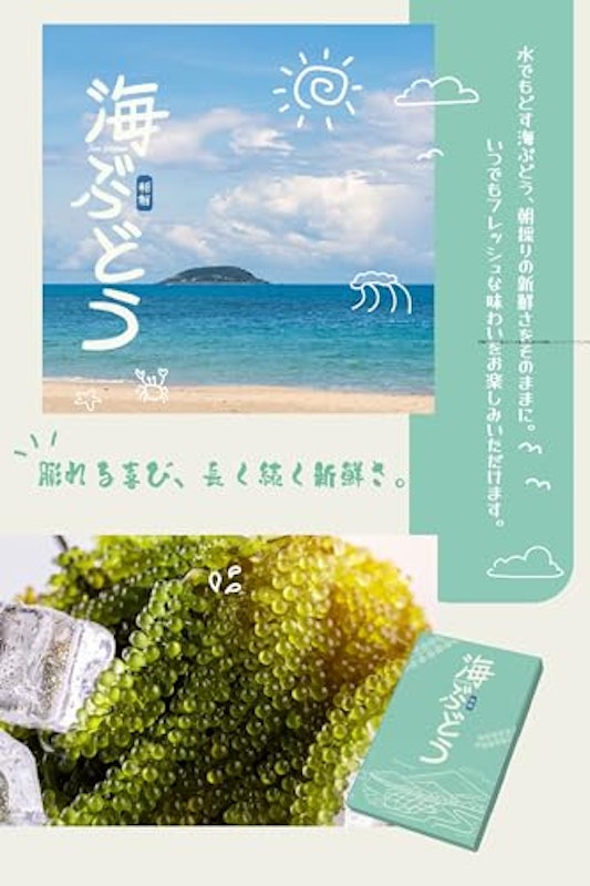 海ぶどう 2