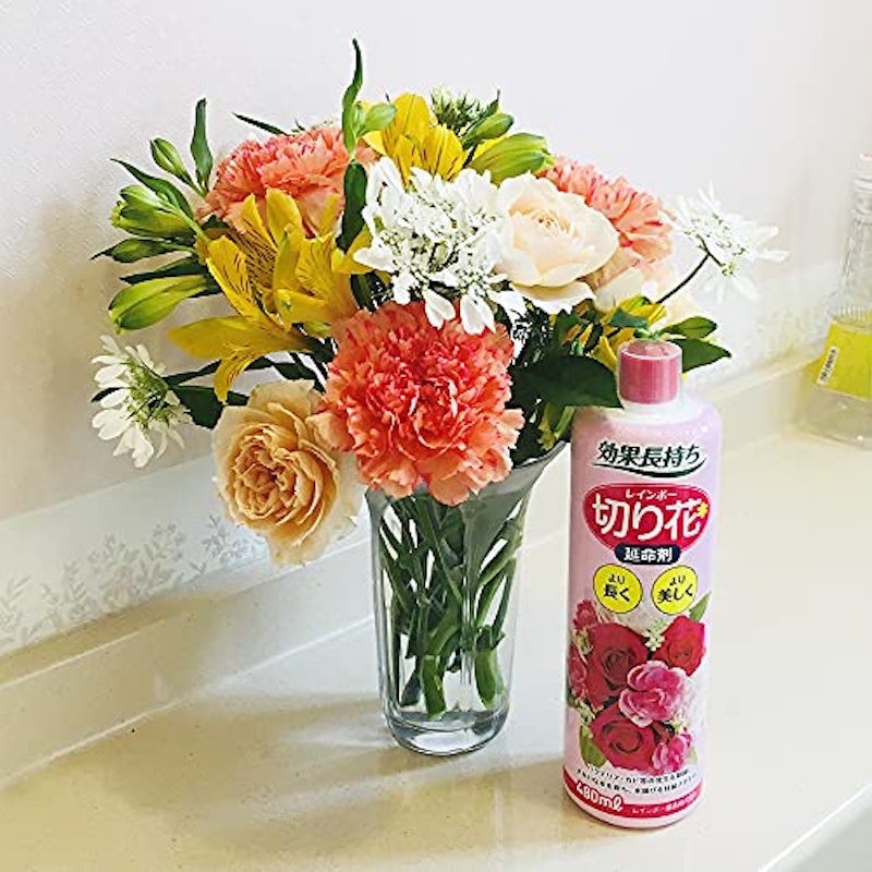 22年 切り花延命剤のおすすめ人気ランキング選 Mybest 22年 切り花延命剤のおすすめ人気ランキング選 Mybest