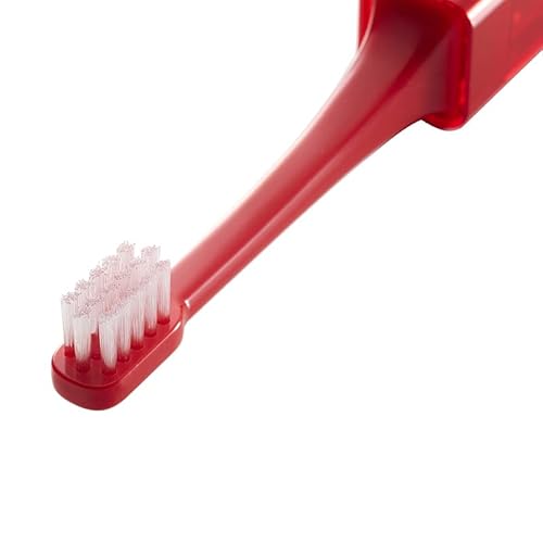 TRAVEL TOOTHBRUSH MISOKA FOR TO&FRO 4