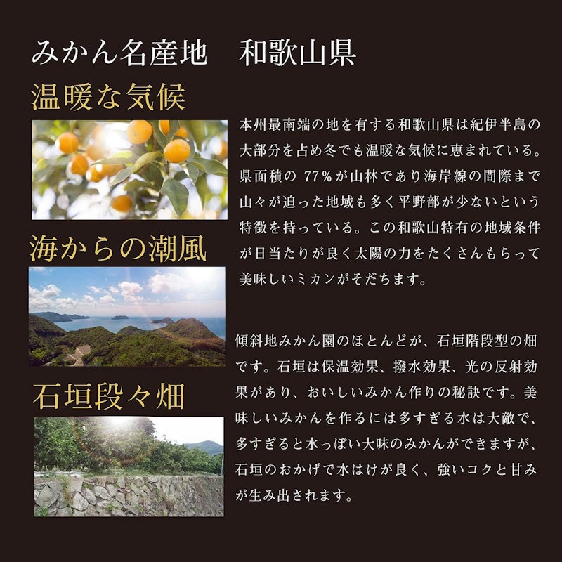 赤秀みかん 小粒 4