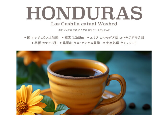 定番の人気銘柄がたっぷり入ったスペシャルティコーヒー4銘柄 特選ギフト 9